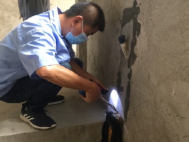 虎門白蟻防治機構(gòu)為什么要對白蟻進行普查