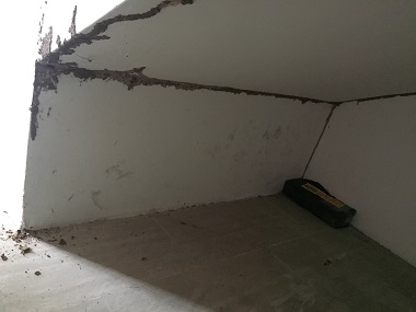 沙田預(yù)防白蟻公司該怎么滅治房屋建筑中的白蟻